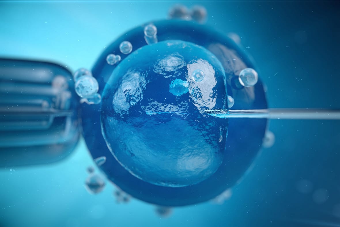 3d illustration artificial insemination, fertilisation, Injecting sperm into egg cell. Assisted reproductive treatment