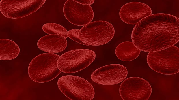 3d render of blood cells and bacteria in an artery