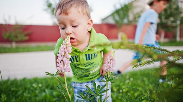 Allergens and Children Photo of Young Child in Front of Flower