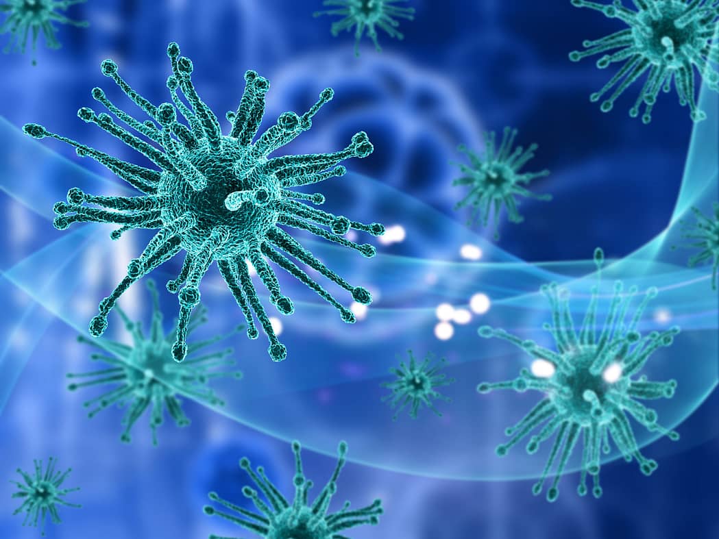 New Vulnerability Found in Major Human Viruses